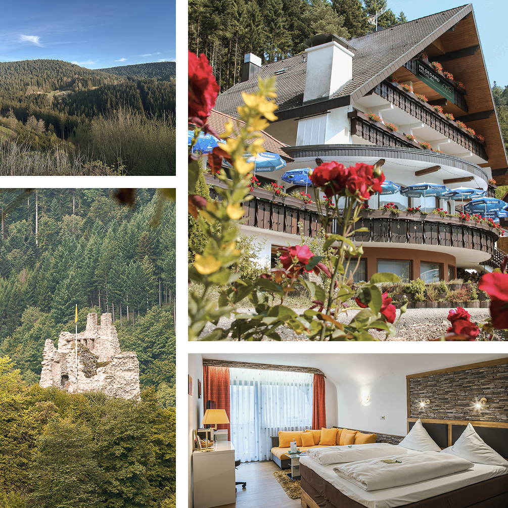 Collage eines Restaurants mit Blumen, einer Burgruine im Wald, einem Hotel mit Balkonen und einem gemütlichen Hotelzimmer.
